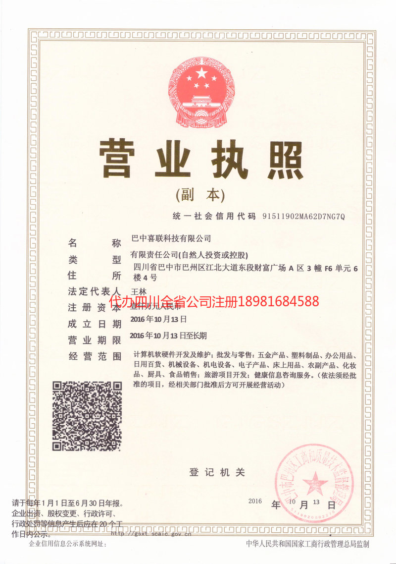 日照日照喜联科技有限公司